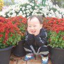 유림-1024 이미지