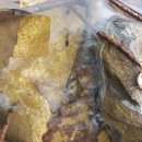 STX오토캠핑장 이미지