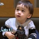 온리원스테이 이미지