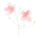 운유초병설유치원 이미지