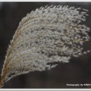 위례강변길 이미지