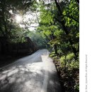 전등사로 초지로 이미지