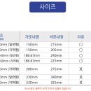 디에스팩