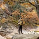 금호리조트(주)설악 이미지