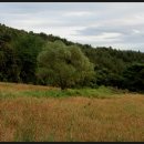 용 사슴목장 이미지