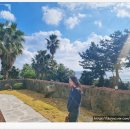 남원읍-55 이미지