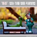 잇몸고름주머니, 영양사가 알려주는 건강한 잇몸 비결 TOP 5