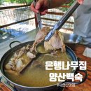 양산백숙 제8경 대운산 품에서 먹는 한 끼 은행나무집 솔직 후기