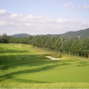 빅토리아 골프클럽 이미지