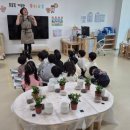 향기나무어린이집 | [인천 검단신도시 유치원 원예수업] 식목일 맞이 철쭉 &amp; 치자나무 체험활동 (250명 대규모 진행)