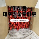 [대추방울토마토 2kg + 마켓림] 아이 간식으로도 딱! 신선함 가득한 과일 선물세트 후기