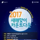 동미노래클럽 | 170101 영동대로 새해맞이 카운트다운 후기 - 먼발치서 본 뒷모습