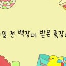 카페공오일 이미지