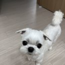 치킨신드롬장평점 네이버블로그
