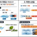 입자와파동