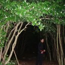 동천목욕탕 이미지