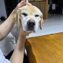 여행을 곁들인, 6월 일상