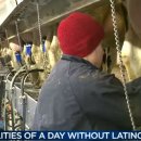 우유농장2 이미지