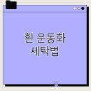 제일세탁 | 흰 운동화 세탁법 집에서 간단하게
