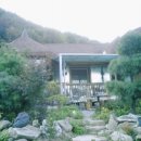 오미자;자연산토종꿀