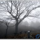 영산사우나 이미지