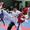 영광태권도체육관 이미지