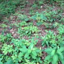 계곡품은펜션 이미지