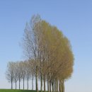 안식목장 이미지