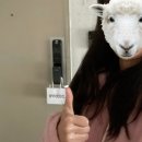 메세지 | 스타벅스 베어리스타 메세지카드 크리스마스 오너먼트 산타 키링 후기