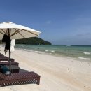 사오농장 이미지