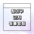 이지동물병원 | 부천 원미구 근처 동물병원 추천 잘하는곳 정보 야간...강아지 수술 고양이 치료 후기 가격 24시간 새벽