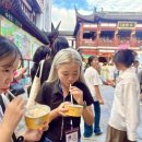 소주캠프 이미지