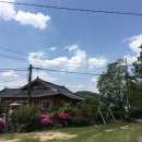 세그루 게스트하우스 이미지