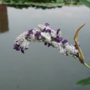 뚝길따라 이미지