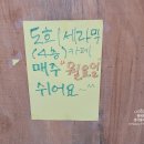 머디데이지 이미지