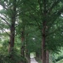 심천웰빙타운심천레져리조트