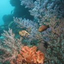 멀리 제주 이미지