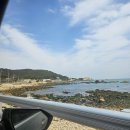 목지코지(좀녀네집앞,해안) | 28주 태교여행 부산여행 3일차: 기장끝집 죽성본점, 해목 해운대점