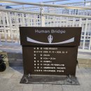 수영강 | 부산 수영강 휴먼브리지 개통 방문 후기