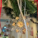 소보소보 이미지