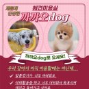 까까오 dog 네이버블로그