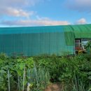 다복솔농장 이미지