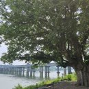 도리 마을회관 이미지