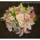 서교초교 이미지