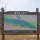 조방낙지화명본점 티스토리