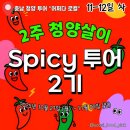 어슬티굿밤 | 청양 스파이시투어 2기 어쩌다로컬 (6편) 다락골성지와 마음치유순례 콘텐츠 및 혁신타운 투어 도마만들기