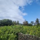 돈키호테공인중개사사무소 이미지