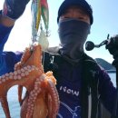 나라3호 이미지