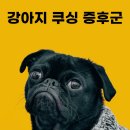 해밀동물병원 이미지