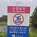 지내소류지 네이버블로그